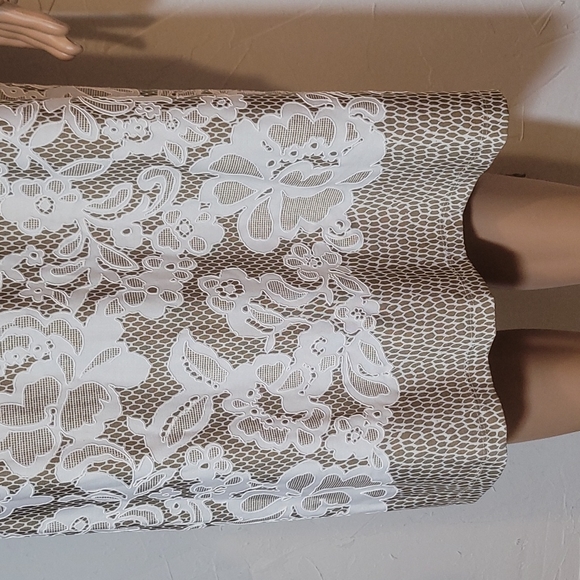 Chelsea and Taylor dress new size 14 - Picture 4 of 6